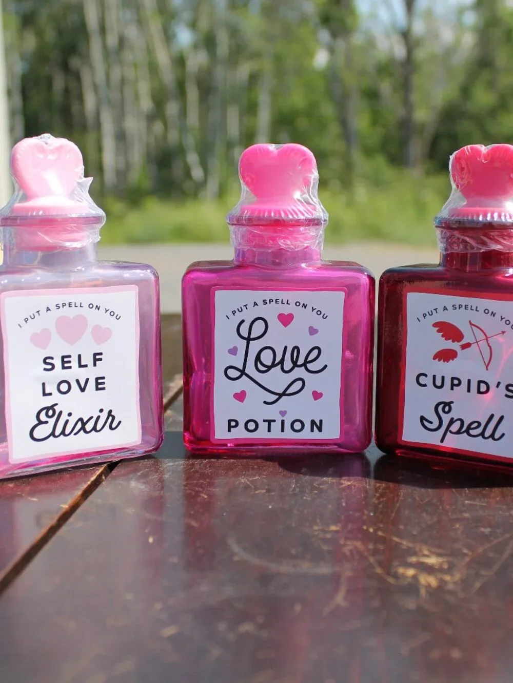 Valentine's Day Harry Potter Bundle